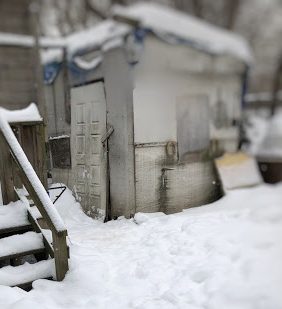 The shed where Britta was found- unheated, small, and full of debris and feces.