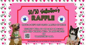 Save-A-Pet's Valentine 50/50 Raffle